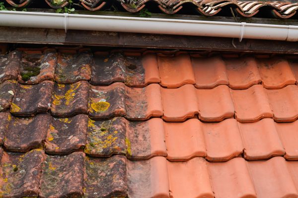 Industrial Roof Cleaning in Maryville